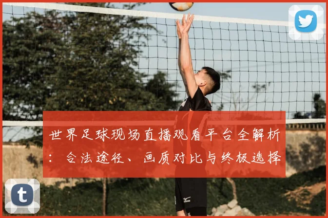 世界足球现场直播观看平台全解析：合法途径、画质对比与终极选择指南_20260609201534