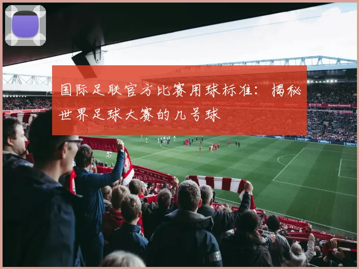 国际足联官方比赛用球标准：揭秘世界足球大赛的几号球